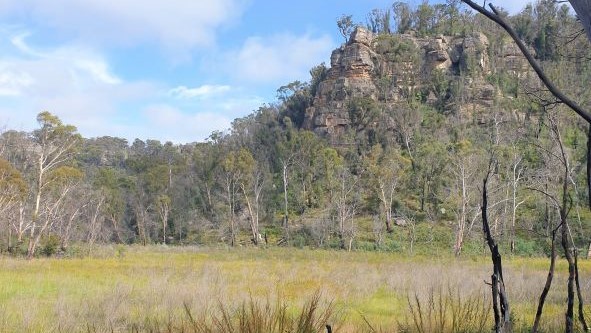 Kangaroo Creek swamp at risk