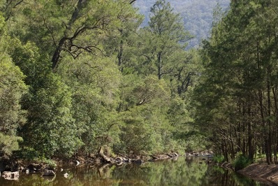 Coxs River - Blue Mtns NP
