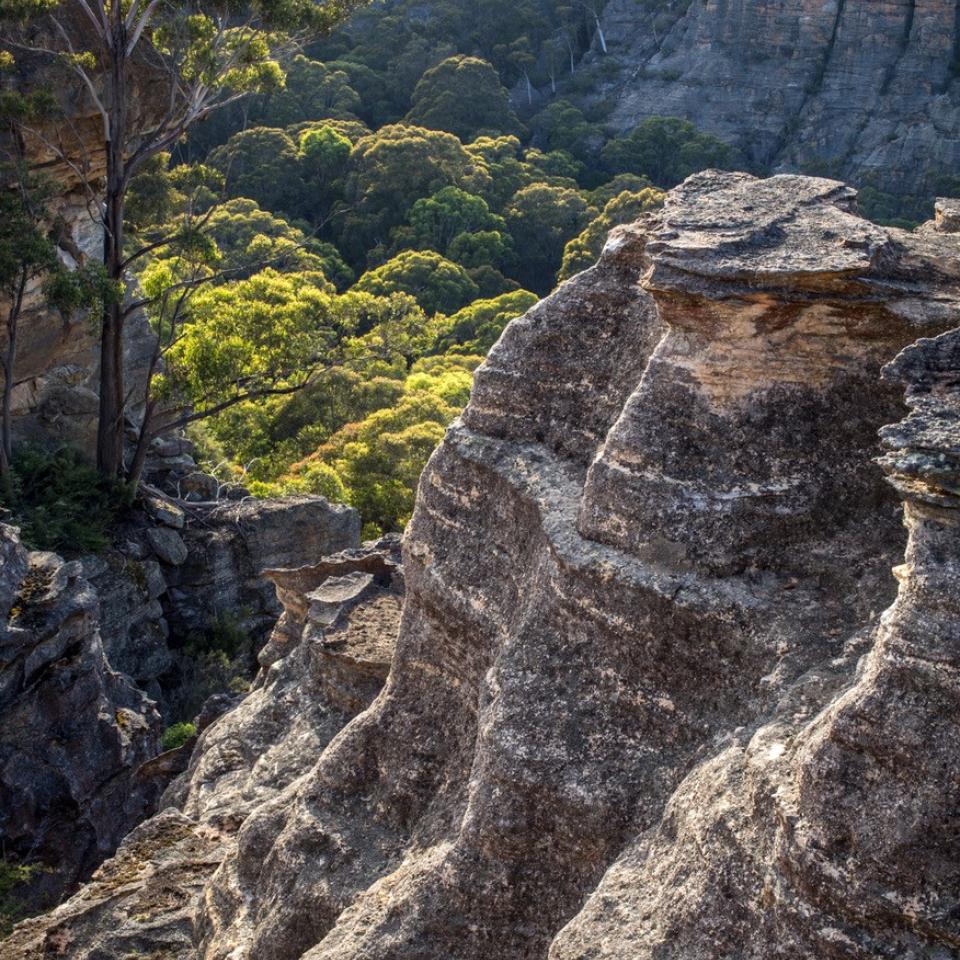 Kangaroo Creek visa - Ian Brown