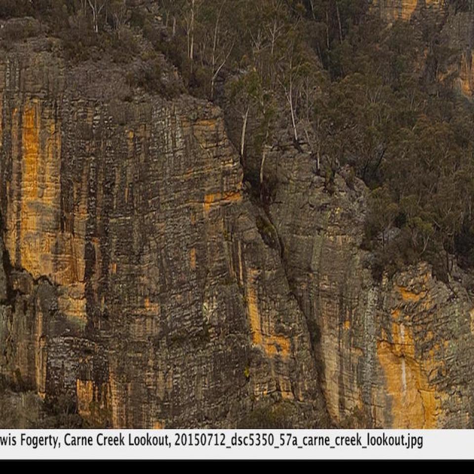 View into Carne Creek from Lurline Jack Lookout