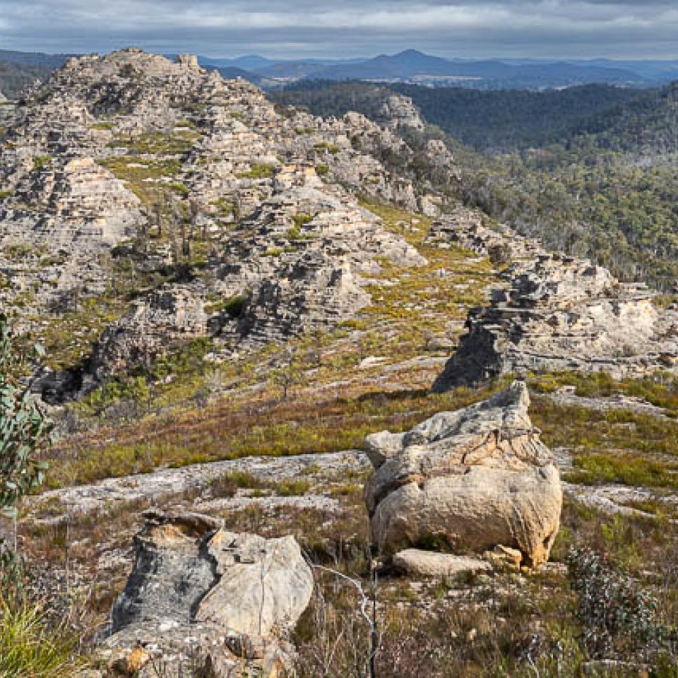 Ridge above Marrangaroo Creek (Photo: D. Noble)