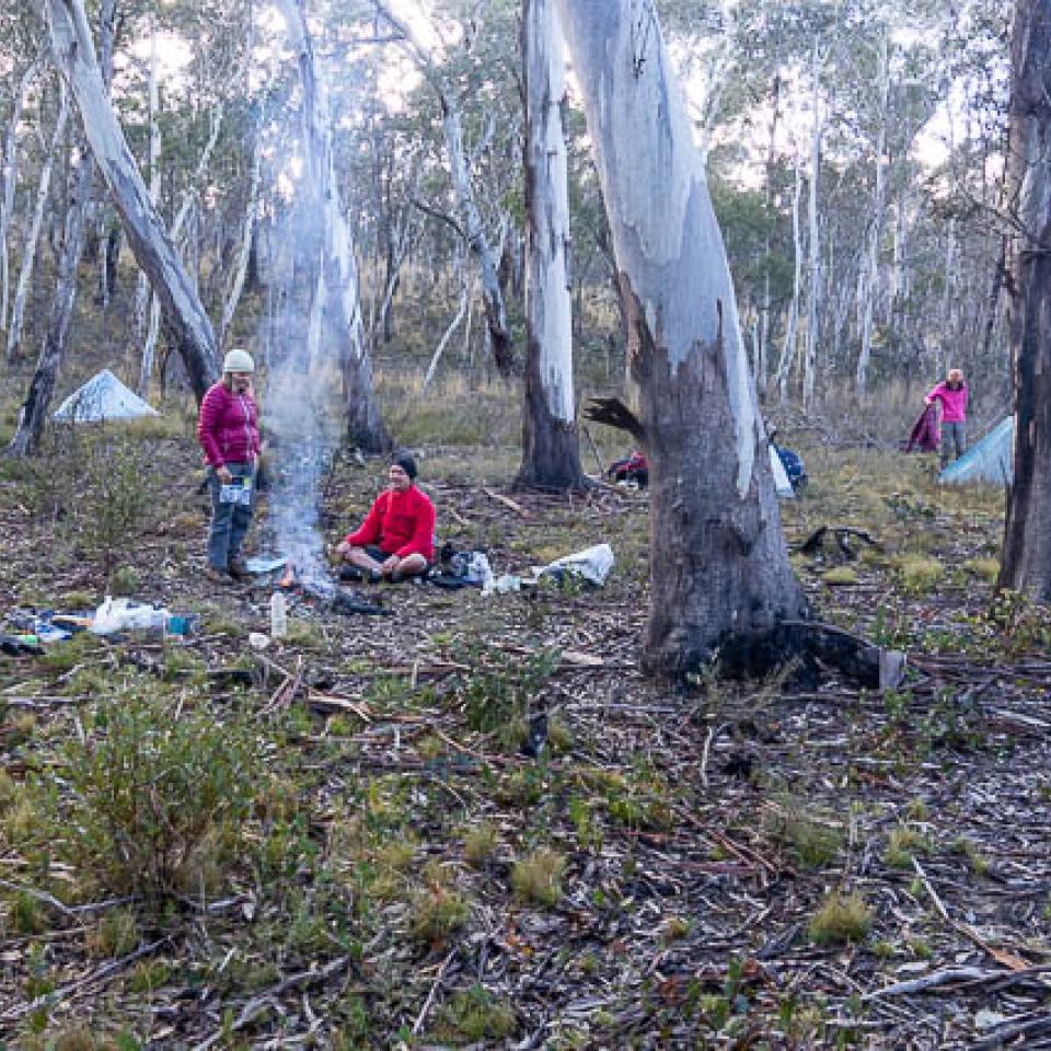 Camp on upper Kangaroo Creek, no permanent water (Photo: D. Noble)