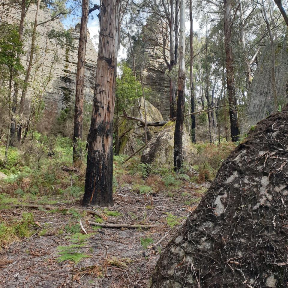 Pagoda spire on pass between Kangaroo and Lambs Creeks