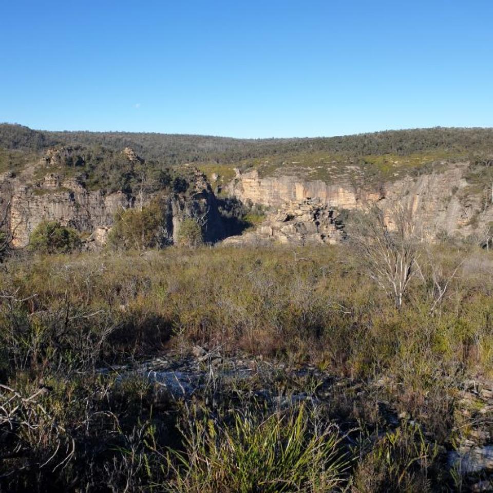 The pagodas on opposite side of Carne Creek is a proposed lookout