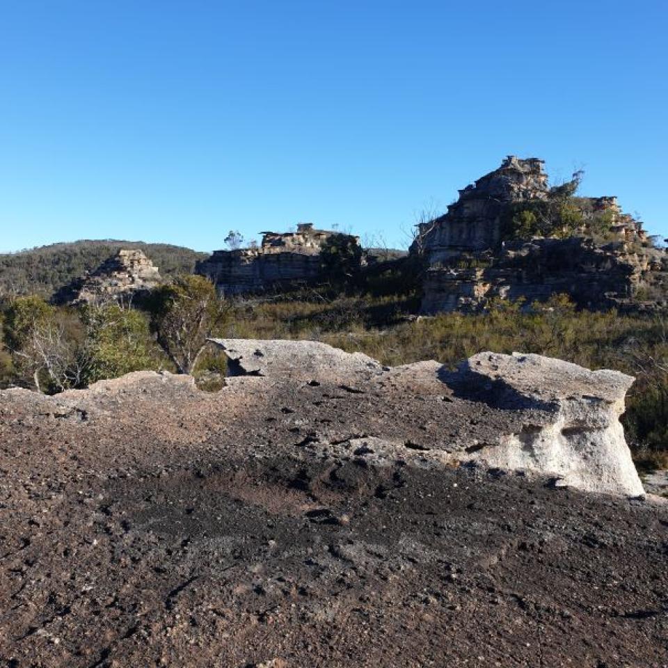 Pagodas located on south-west portion of Zone 2
