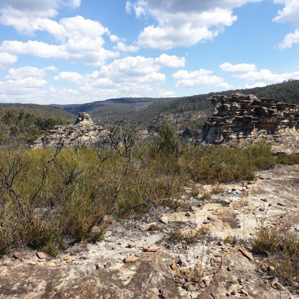 Western part of Zone 3, showing rock outcrop and pagodas