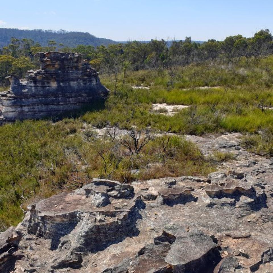 The northern part of Zone 3 