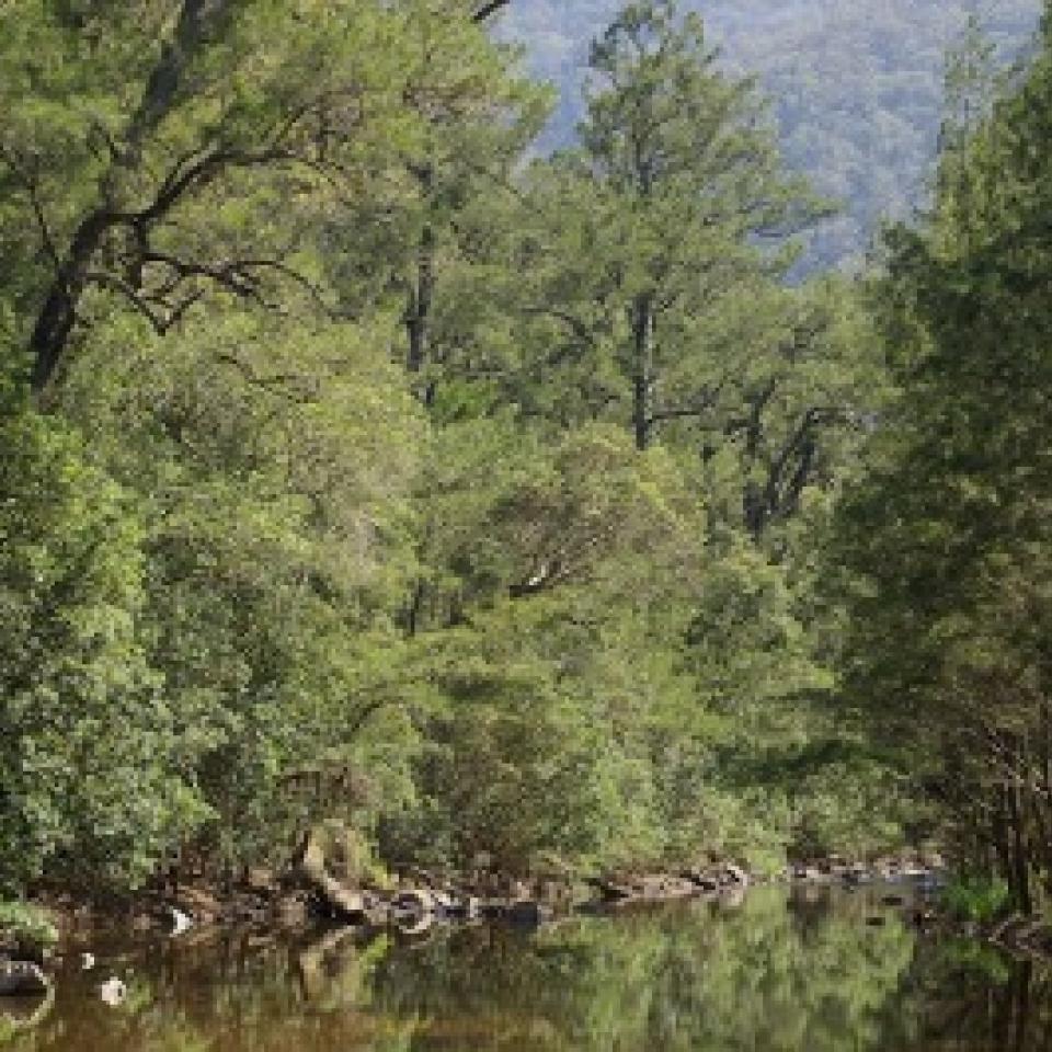 Coxs River - Blue Mtns NP