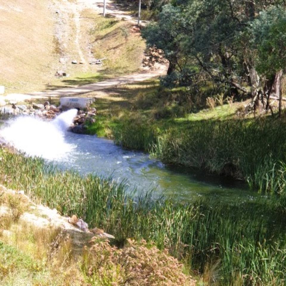 Thompsons Creek Reservoir discharge