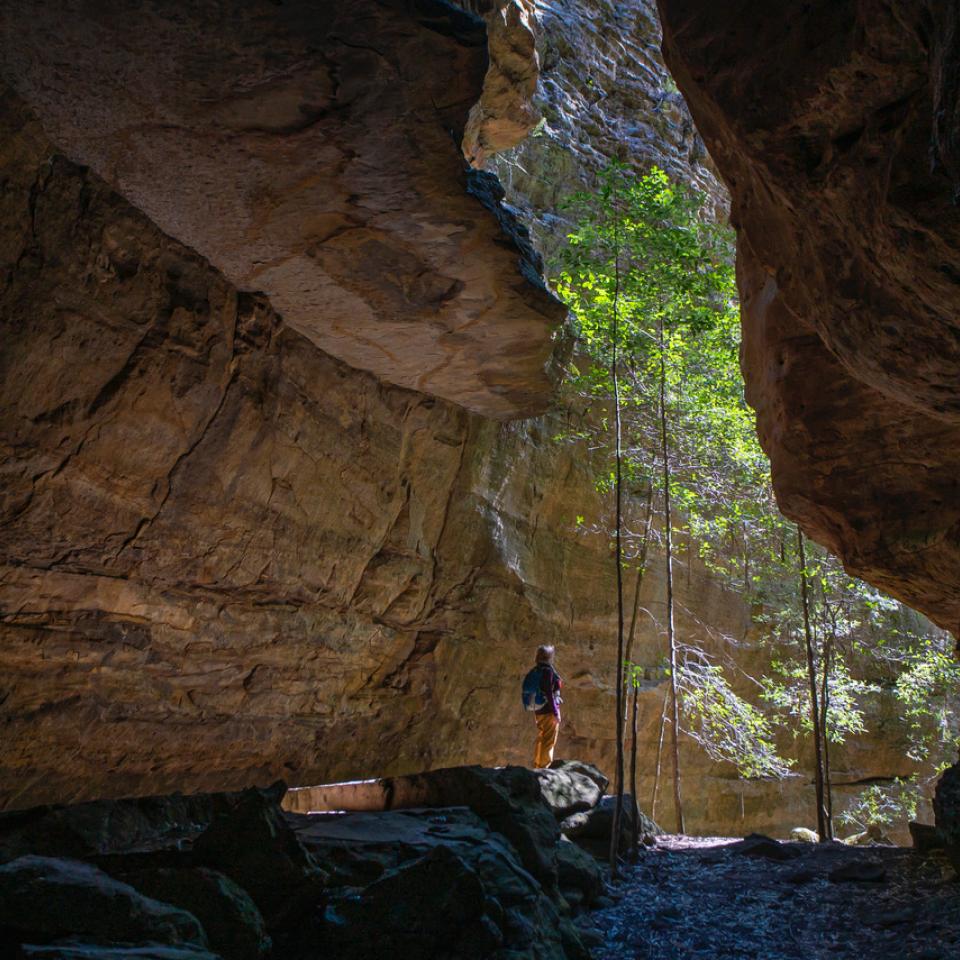 Nobles canyon by Joel Robinson