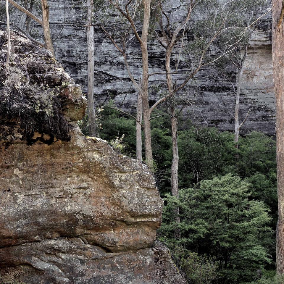 Descent into a wild gorge from Newnes Plateau - Image Henry Gold