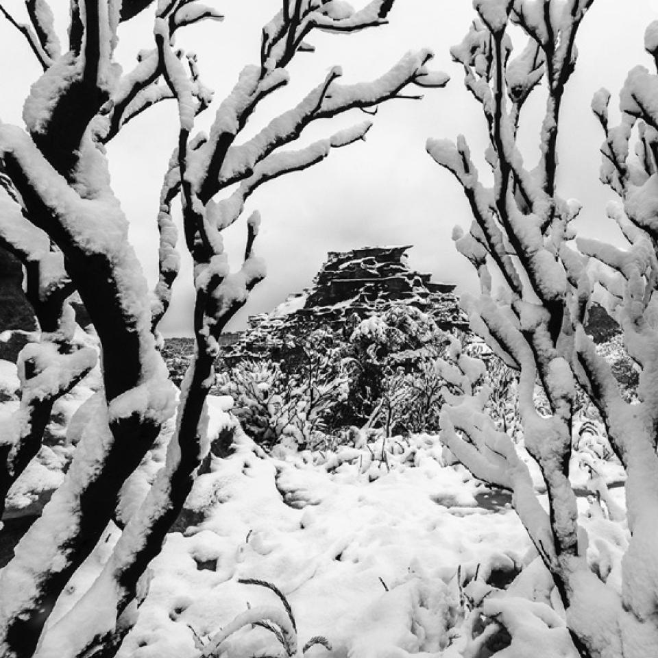 Frost and Fire - Image Jochen Spencer Frost and Fire - Image Jochen Spencer